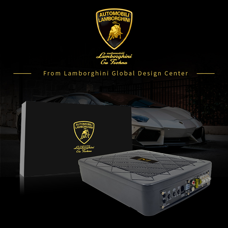 Lamborghini Carbon Fiber Speaker Cone-KPT.jpg